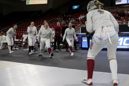 Fencing_Lawlor