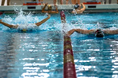 Women's swim vs. Northeastern at the Connell Center