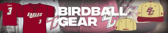Birdball Gear Ad Banner
