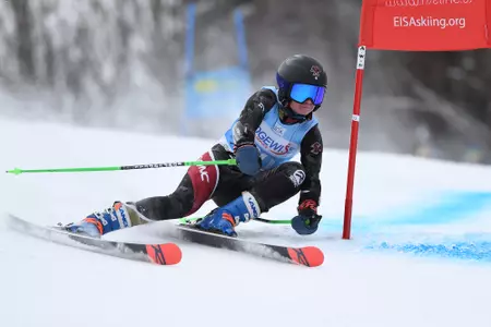 Biele Harvard Carnival