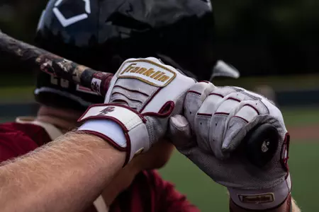 Baseball - Franklin Batting Gloves