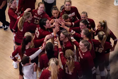 BC VB