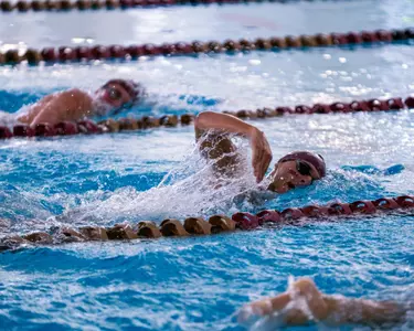 Swimming & Diving during Maroon vs. Gold 2024