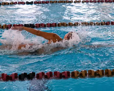 Lauren Lee Maroon vs. Gold