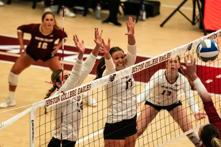 BC VB