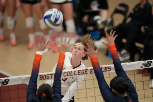 BCVB