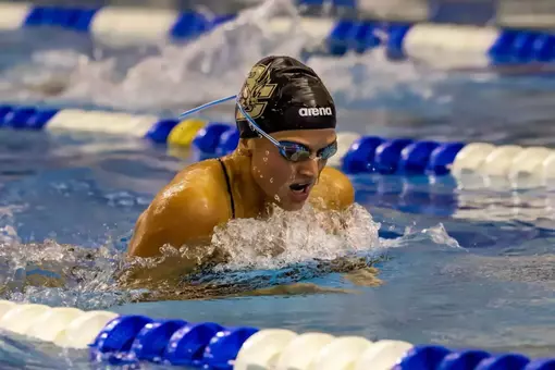 UMass Preview