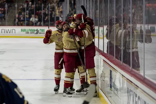 Men's Hockey celebrates goal against Notre Dame
