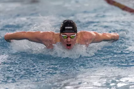 Harvard/UPenn Preview