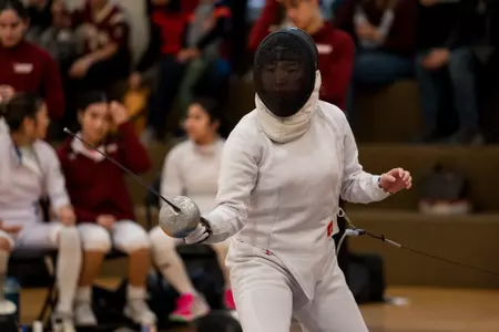 Fencing Preview