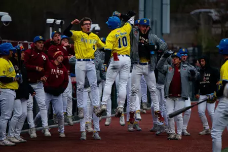 Birdball celebrates home run
