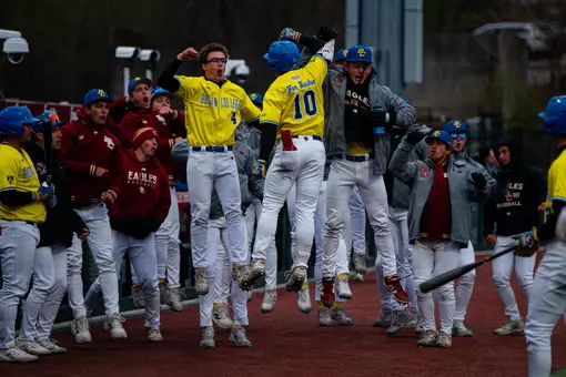 Birdball celebrates home run