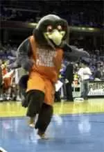 BGSU Alumni Association To Sponsor MAC Bash Image