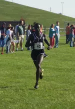 Men Place Ninth At Stanford Invitational Image