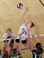 Falcon Volleyball Begins Practices Image