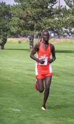 Falcons Sweep Cross Country Runners of the Week Image