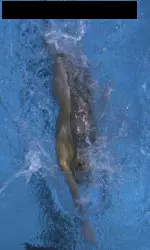 BGSU Swim Finishes Atop Three Relays at the Tom Stubbs Image