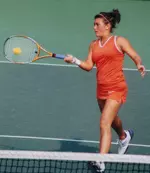 Falcons Tame Bulldogs Image