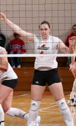 Falcons Unstoppable In Anderson Arena Image