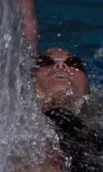 Swimming and Diving Falcons Set to Compete in OSU Invitational Image