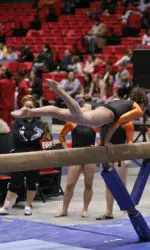 Falcons Look to Clip Cardinals Image