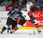 Falcons Conclude Home Stand With #9 Michigan On Friday Night Image