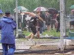 Track Heads to Cincinnati This Weekend Image