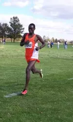 Cross Country Opens Season With Split Against Toledo Image