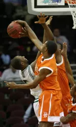 Follow Your Favorite Falcon Teams Free of Charge in 2007-08 Image