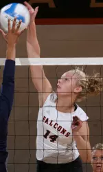 Falcons Dominate Arch-Rival Toledo, 3-0 Image