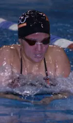 Swimming and Diving Falcons Prepare for another Busy Weekend Image