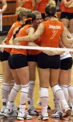 Falcon Netters Spread Their Wings Image