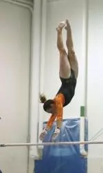 Wolfpack Swallows Falcons Image