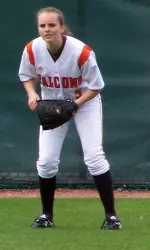 Falcons On the Road Again Image