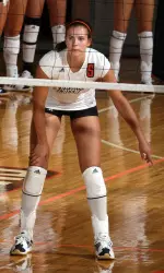 Falcons Fly North to the Badger State Image