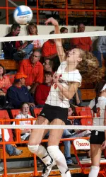 Falcons Soar Past Owls, 3-0 Image