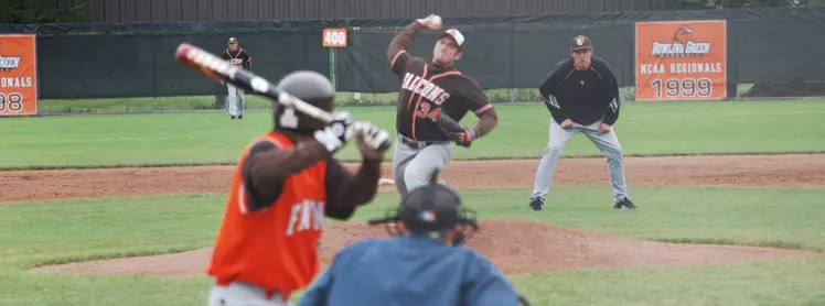 BirdsEyeViewBaseball