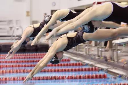 Swimmers are Successful in the First Night of the Calvin Winter Invitational Image