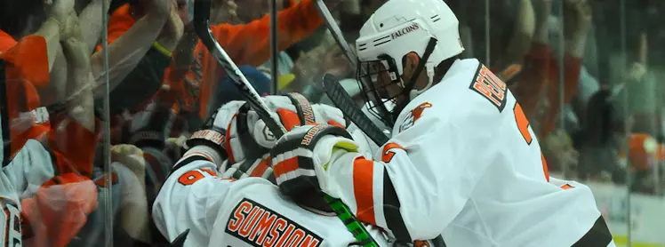 BGSU Celebrates 2010
