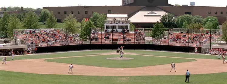 Steller Field