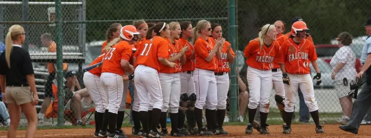 HR celebration SB