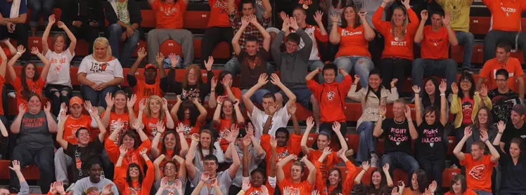 Volleyball Crowd