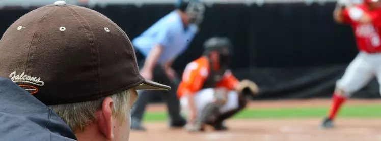 A baseball look 2009b