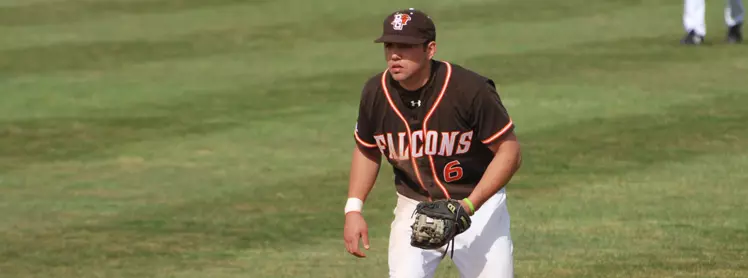 Pitzulo 2010 Fielding