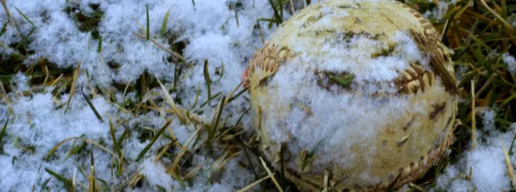 Baseball in the snow