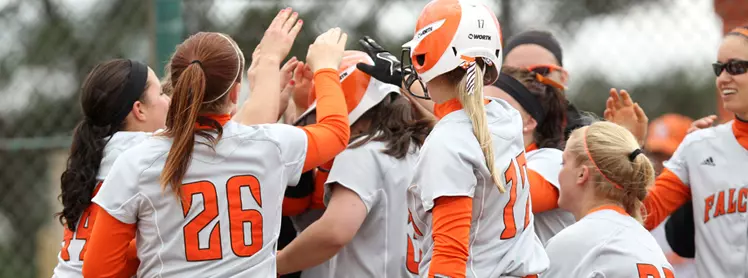 Home run Celebration