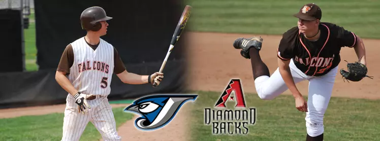 Berti Gerdeman Header draft 2011 c