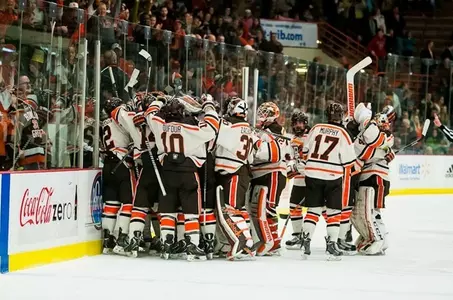 Brown Helmets
