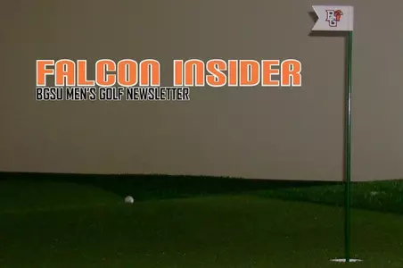 Falcon Insider _Story Shot