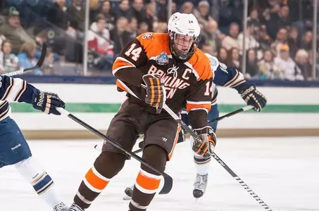 Brown Header